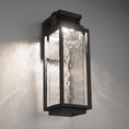 Load image into Gallery viewer, Two If By Sea LED Outdoor Wall Sconce - Display
