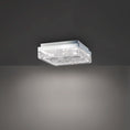 Load image into Gallery viewer, Whisper LED Flush Mount - Display
