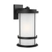 Wilburn Extra Large Outdoor Wall Sconce - Black Finish