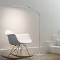 Load image into Gallery viewer, Z-Bar LED Floor Lamp - Display
