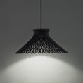 Load image into Gallery viewer, Zenya LED Pendant - Display
