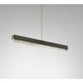 Load image into Gallery viewer, CTO Lighting Artes Linear Pendant
