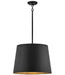 Hinkley Alder Outdoor Pendant
