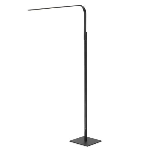 LIM Floor Lamp - Black