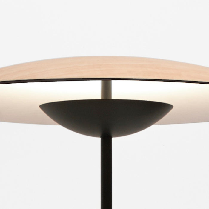 MARSET Ginger P LED Floor Lamp