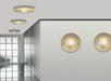 Pablo Sky Dome Wood LED Wall / Flush Mount