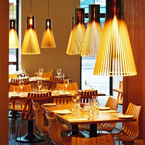 Secto 4200 Pendant Light