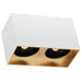 Visual Comfort Architectural Exo Dual Ceiling Light