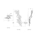Visual Comfort Signature Farfalle Large Sconce