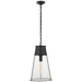 Visual Comfort Signature Robinson Large Pendant