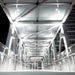 WAC Tube 5" Architectural LED Wall Light